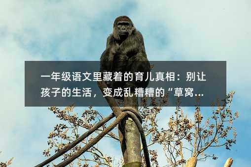 һ�꼉�Z����������������ࣺ�e׌���ӵ����׃�Ɂy����ġ��ݸC�C��