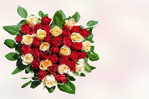 �����Ը�đСų����ô�k