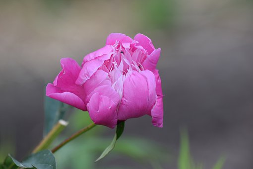 ���Ӹ߶�����W��ô�k