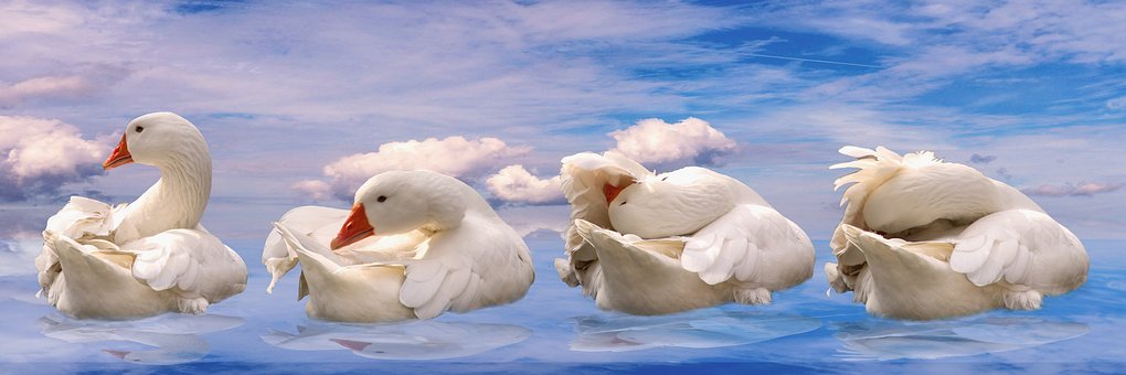 最佳干預期:1.5-3歲