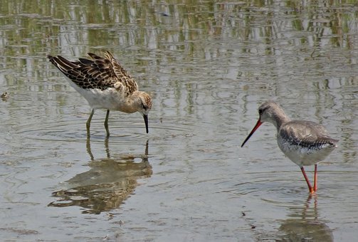 ��Я�����̎��ؓ����w����߿�������