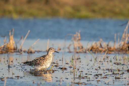 用真摯的情感打動孩子