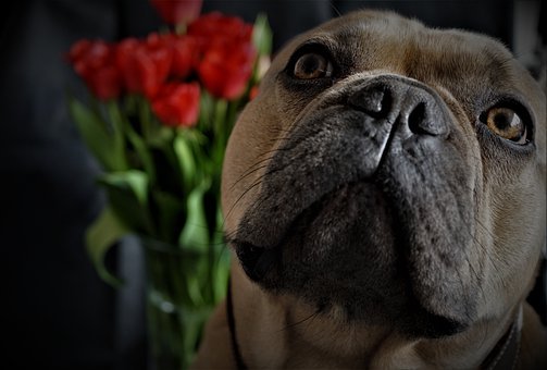 建立平等的溝通關系