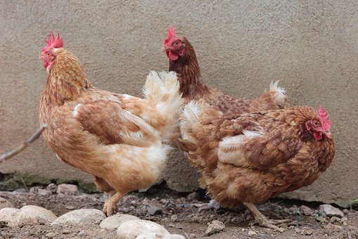 ��һ݆�����ǔ��W�п��俼���P�I�A������...