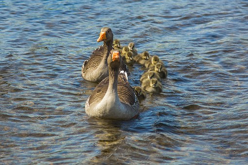 ���H���О錦���ӳ��L�����hӰ�