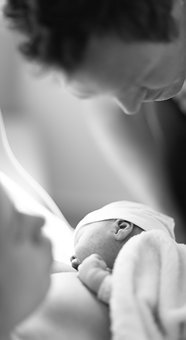 ������ͥ����֧���wϵ��(g��u)��