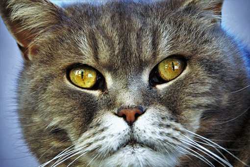 4�����}Ҏ�������G��ԩ������