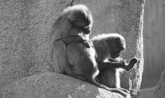 ���룬�ڽ̌W�r�����ŌW���Ȍ���Ҋ���M��...