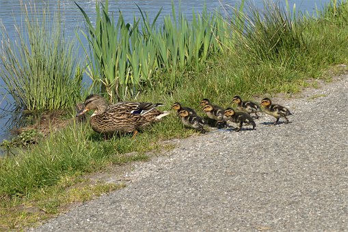 �����YԴ�������µ��^���_�l