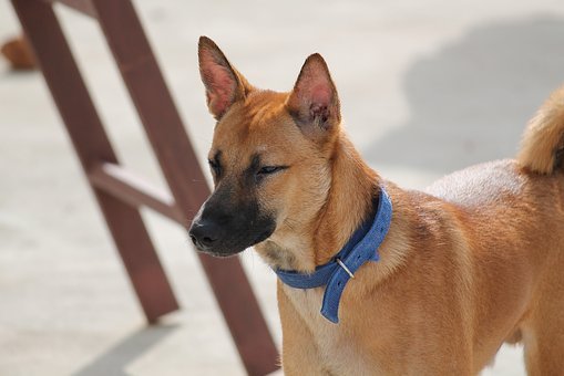 對于準備高考的學生來說,家長們一定要時刻...