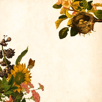 ��(d��ng)���Ӱl(f��)�F(xi��n)�Լ���ĳЩ������ͻ������������...