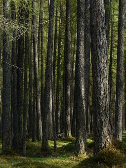 �����ӏ��cС�W��ϵ�c����