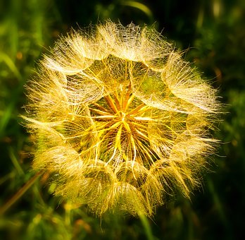 ���������ۡ�Ϳ�f��