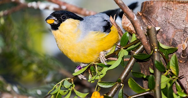 ���Д����w��������B���ЃɷN���������^F...