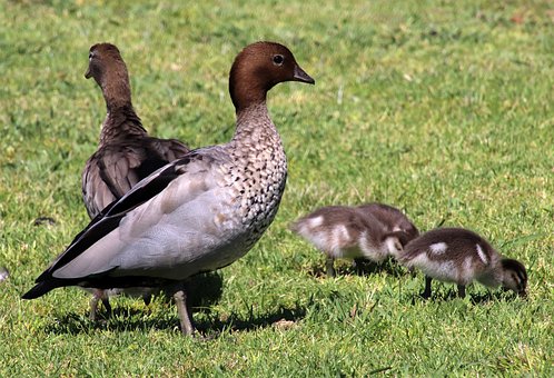 ���������P�I�B����������ĸ����͑���������