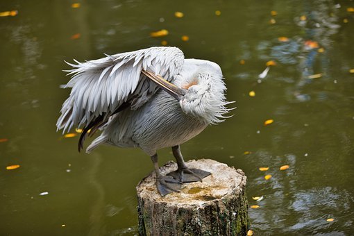 ��ʲôҪ����W����