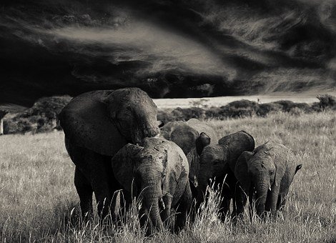 2. ��ĸ����_�^���҂��ؼҵĕr�g��Ȼ���...