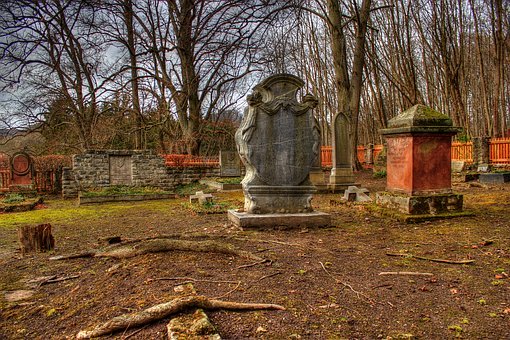 6、給他一個機遇,讓孩子自己去抓住