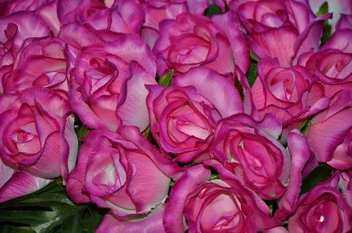 ����ȱ����������θ���