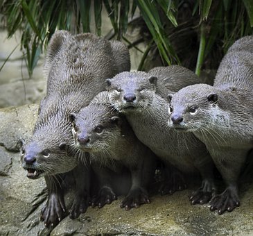 �Α�ɰa�ć�(y��n)�غ��