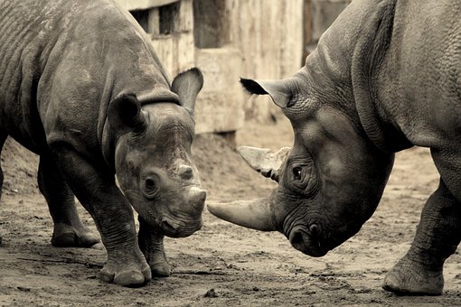 ���B�W���dȤ