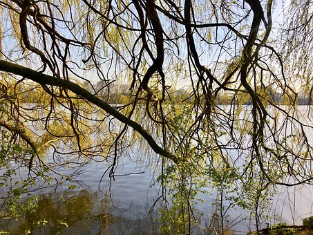 3、家長的影響。有的家長總是逼問著最后的...