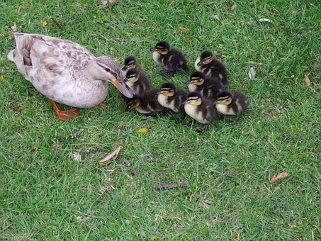 �W��Ʒ�|�����B