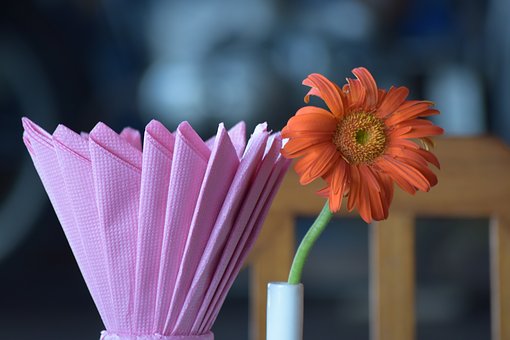 ���������т���������ĵ��@�����ഺ�ڵ���...