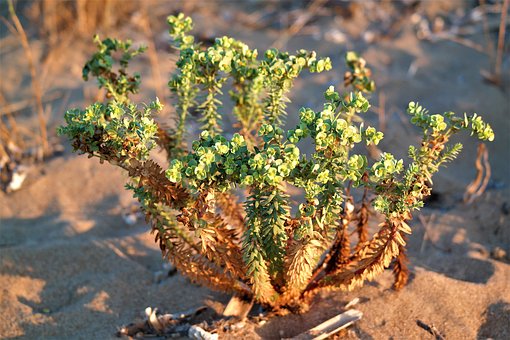 ϵ�y�����ķ���Ҳ�Ƕ��ӵġ�