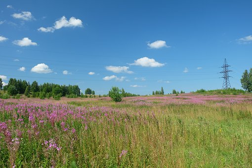 網絡時代的溝通挑戰:新傳媒與代溝