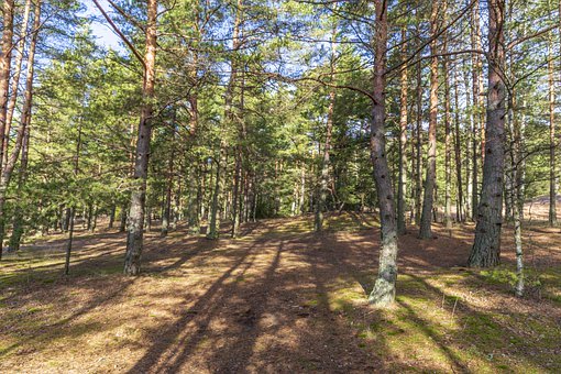 2.�KԊ������ġ��M�L���ꡱ�D�롰���^��ƽ...