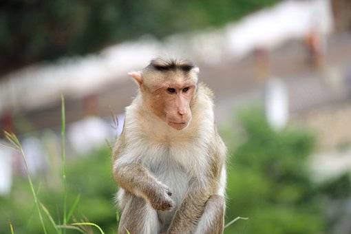 ���Ⲣ�����@Щ��΢��e���������҂��ڌ��H...