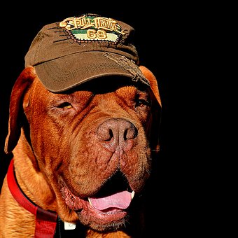 Ҫ�����Ҕr������Ӌ(j��)�ֵ��Ѓɂ�(g��)�u����ǰ���...