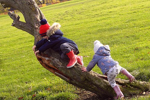 我抱著堅定的決心以及持著積極認真的態度,...