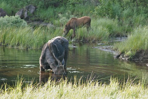 恒心還來自趣味和實用。