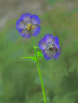 ����x�̌W�ϣ���ע���������µ��}�j���B͸...