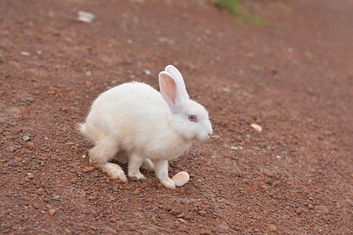 ���꼉����Ҫ�A��