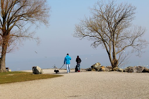 �֔��^�Ǻ���һ�����Ӄ����c���Ψһ�˳ߣ�...