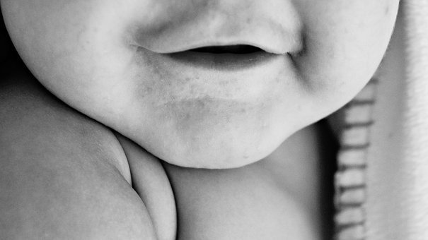 ʳָ����Ҫ��