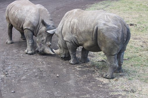 2���{������w��ͨ