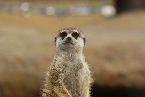 4. ��������朽�