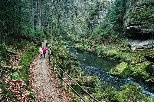 ���ӵ����������cԭ����ͥ