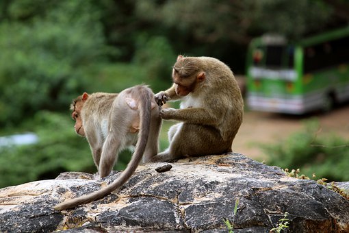 �h���i������