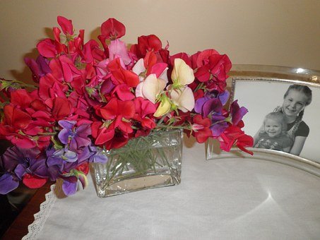 ͨ�^���϶෽���ָ�������B(y��ng)�����Д�(sh��)�W��(y��u)��...