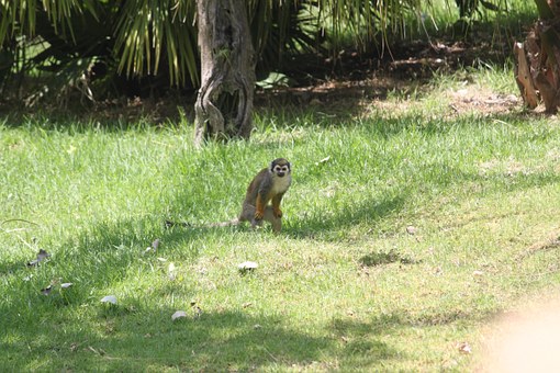 2��������ͨ�������c��ٺ����M��ƽ�ȡ��_...