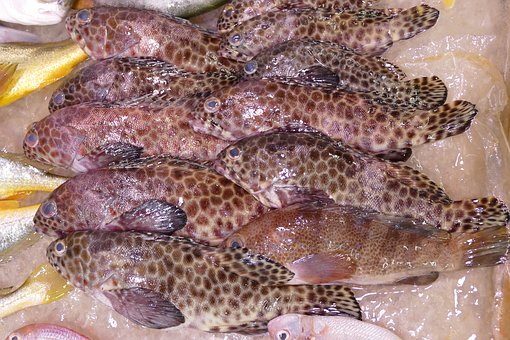 �������n��������ô�k