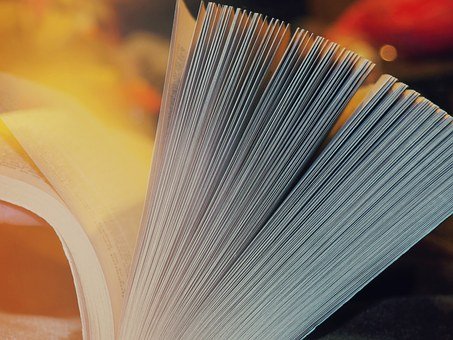 同時,家長和教師的榜樣作用也不容忽視。孩...