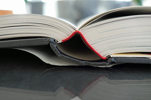 篇5:小升初家長常見的誤區