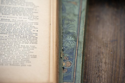 �Ą�ӌWУ�M���Ļ��