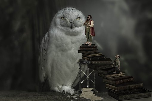 6�����W���һ���}�����������õ�һ���ĽY...